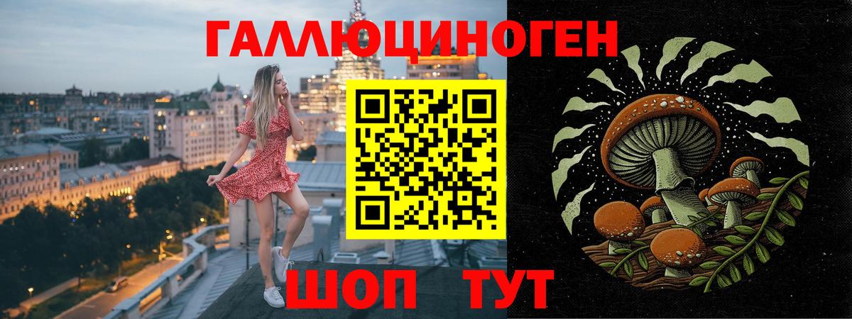 Кандалакша  Галлюциногенные грибы мухоморы  купить наркотики сайты  Галлюциногенные грибы GOLDEN TEACHER  Вход с VPN 